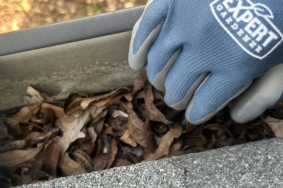 Gutter Cleaning Hill Country Village TX