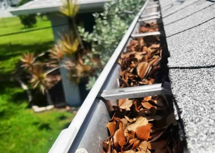 Gutter Cleaning Hill Country Village TX home page